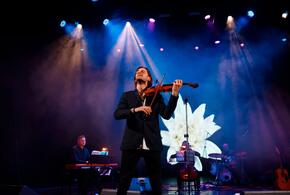 От Вивальди до Циммера: в Краснодаре пройдет инструментальное шоу «InMusica»