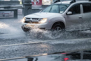  Потепление и дожди: синоптики рассказали о погоде на Кубани с  5 по 11 февраля