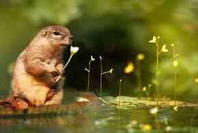 Резкое потепление ждёт кубанцев в ближайшие дни