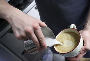 В Госдуме назвали абсурдом реакцию Шольца на интервью Путина, климат на планете становится опасным: что произошло, пока вы спали