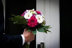 В Сочи доставщики цветов провернули огромную аферу с землей