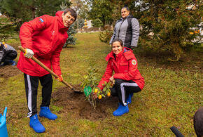 В Сочи олимпийские чемпионы высадили цитрусовые деревья к 10-летию Игр