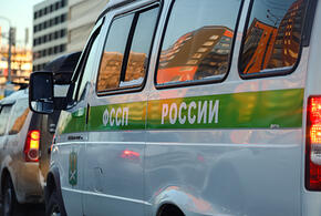 130 пистолетов и 70 шокеров: у посетителей судов на Кубани забрали более 7 тысяч опасных предметов за год​​​​​​​