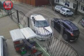 «Будто на камень наехал»: в Сети возмущены поведением водителя в Сочи, многократно переехавшего кота на автомобиле