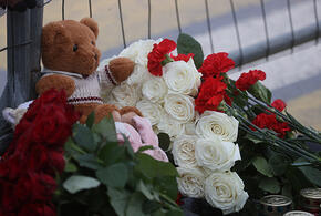 Дети из Новороссийска во время теракта находились в «Крокусе»