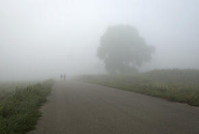 Дорожники предупредили водителей о сильном тумане на трассах рядом с Краснодаром