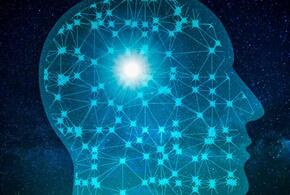 И все равно дефицит кадров: работающие с нейросетью кубанцы зарабатывают 100 тысяч