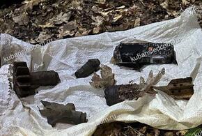 На Кубани следователи выясняют обстоятельства шокирующей гибели мужчины в лесу