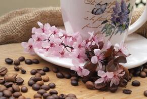 Нефтебаза загорелась после атаки беспилотников, девять человек умерли из-за мяса черепахи: что произошло, пока вы спали