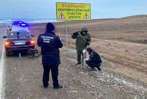 Нравы: по пути в Архыз зарезали туриста, сходившего по нужде