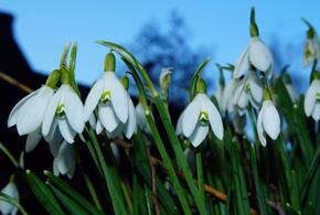 О погоде в воскресенье, 10 марта, в Краснодарском крае рассказали синоптики