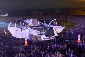 Один человек погиб и несколько пострадало из-за лошади в Адыгее