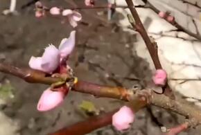 Памятник зенитчицам на горе «Черепаха» восстановили в Новороссийске