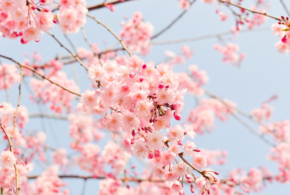 Стало известно, когда потеплеет на Кубани 