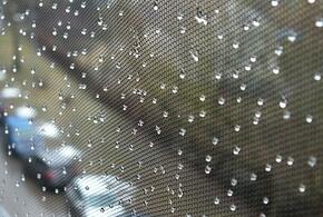 Туманы и дожди: синоптики рассказали о погоде на Кубани 15 марта