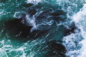 Ущерб от разлива нефти в Новороссийске составил почти полмиллиона рублей