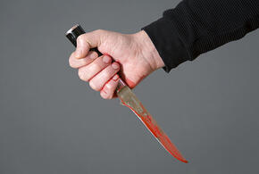 В Крыловском районе Кубани осужден мужчина, зарезавший приятеля по пьянке