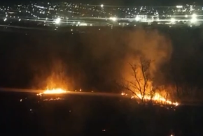 В Новороссийске полыхает Цемесская роща