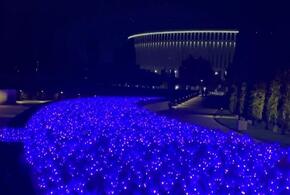 В парке Галицкого в Краснодаре полностью убрали светящийся искусственный шалфей