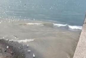 В Сочи канализация вторые сутки напрямую стекает в море неподалеку от резиденции президента