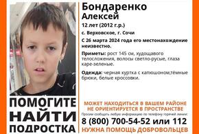 В Сочи волонтеры, полиция и близкие ищут пропавшего 12-летнего мальчика, страдающего аутизмом