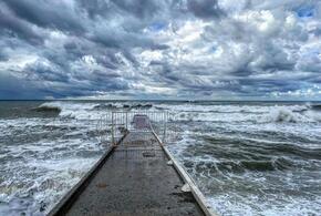 Ветер валит деревья: в Сочи бушует ураган и шторм на море