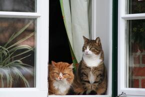 Возможен небольшой дождь: синоптики рассказали о погоде на Кубани 9 марта