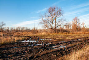 Житель Каневского района изготовил фальшивое постановление властей и стал хозяином земли в 1500 квадратных метров