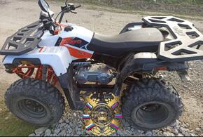 9-летнюю девочку на квадроцикле задержала полиция на Кубани