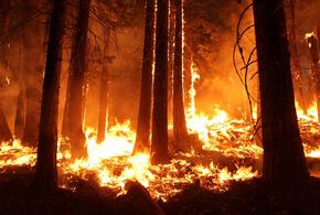 Берегитесь: высокая пожароопасность объявлена на территории Краснодарского края
