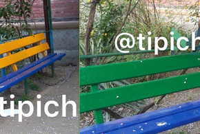 «Доходит до маразма»: в Краснодаре потребовали перекрасить провокационную лавочку