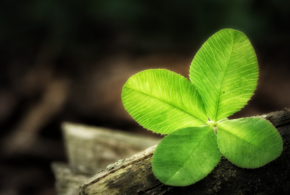 Как привлечь удачу