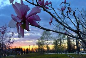 Какой будет погода в Краснодарском крае 9 апреля, рассказали синоптики