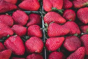 Кому и почему нельзя есть много клубники, рассказали медики