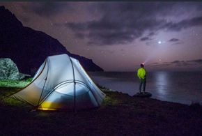 В регион приедут около 600 тысяч человек