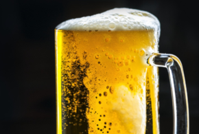 Кубань может стать территорией развития хмелеводства в стране