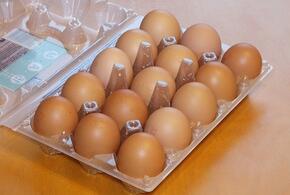 Необычные яйца с ядовито-ярким желтком завезли в Новороссийск