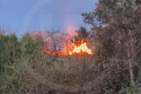 В Сочи полыхают деревья на Лысой горе