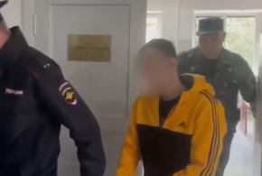 Опубликованы новые подробности дела о жестоком убийстве аниматоров из Усть-Лабинска