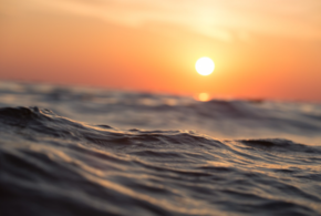 Черное и Азовское моря прогрелись до экстремально высоких температур