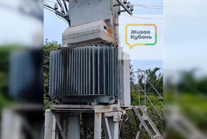 После публикации «Живой Кубани» в Краснодаре возбудили и сразу отменили уголовное дело