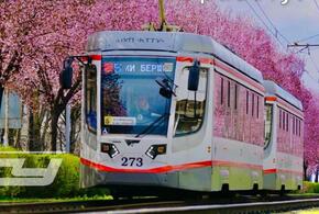 Несколько трамваев встали без движения в Краснодаре