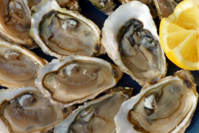 На Кубани в этом году произведут гораздо меньше мидий и устриц
