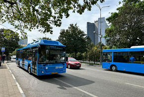 С начала лета в Сочи автобусы между центром города и аэропортом будут ходить круглосуточно