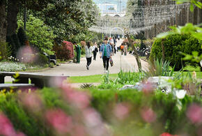  Сочи вошел в ТОП 10  в РФ по качеству городской среды