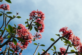 Прогноз погоды на Кубани 13 апреля