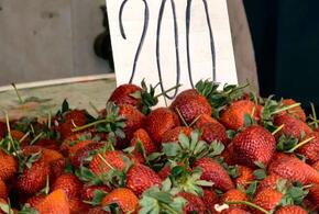 Стало известно, где самые низкие цены на клубнику в Краснодаре