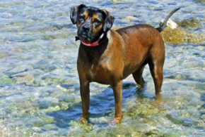 Температурный «взрыв» прогнозируют в Сочи на этой неделе