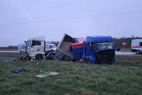 В Абинском районе Кубани произошла крупная авария с участием двух грузовиков и легковушки