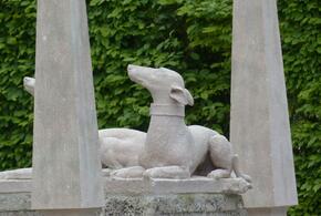 В Абрау-Дюрсо собаку похоронили на человеческом кладбище 